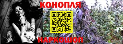 сатива Балахна